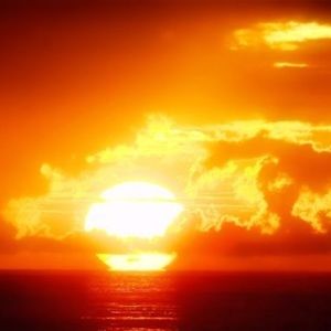 Meet your Posher, Kaiden